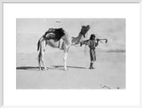 Muhammad al Auf with a camel