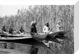 Madan men in boats in the Marshes