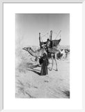 Saar nomad with a camel-litter