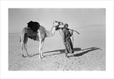 Wilfred Thesiger with his camel