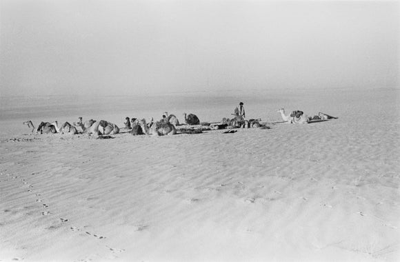 Resting in the Dhafara Sands
