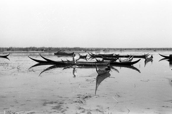 Canoes in the Marshes