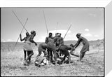 Pokot men butchering a zebra