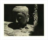 Stone head of the Buddha