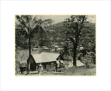 View of St. George's, Grenada
