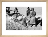 Portrait of four Bedouin men ...