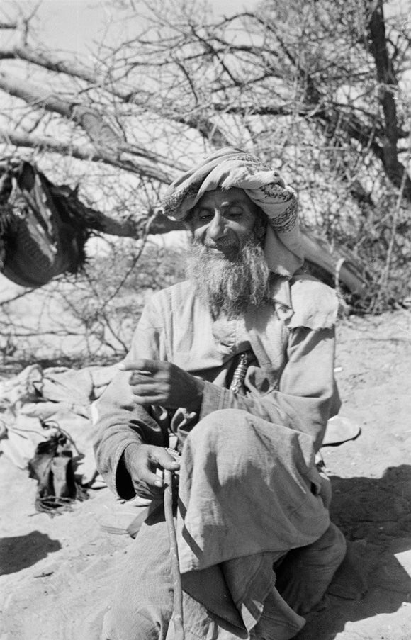 Seated portrait of the sheikh ...