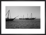 Profile view of dhows (sailboats) ...