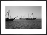 Profile view of dhows (sailboats) ...