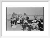 View of Wahiba Bedouin at ...