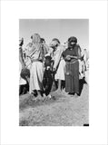 View of Sa'ar Bedouin watering ...