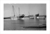 View of two dhows (sailboats) ...