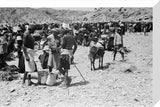 View of Khawlan Bedouin traders ...