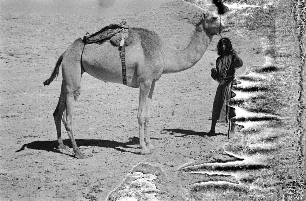 Salim bin Kabina, a young Pitt Rivers Museum Prints