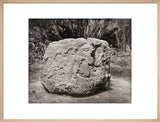 Stone carving (Zoomorph P) at Maya site of Quirigua, Guatemala