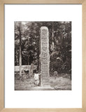 Stone carving (Stela D) at Maya site of Quirigua, Guatemala