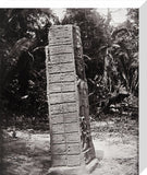 Stone carving (Stela C) at Maya site of Quirigua, Guatemala