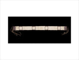 Four Nations Alliance Wampum Belt (art print, large, unframed)