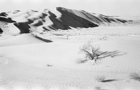 Sand dune in Sahma sands
