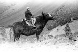 Boy riding a yak