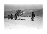 Gilzai nomads migrating