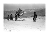 Gilzai nomads migrating