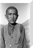 Hazara boy