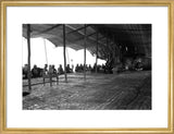 Guest tent of Sheikh Maziad bin Hamdan