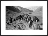 Kandari nomads migrating