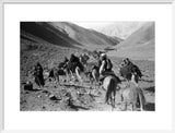 Kandari nomads migrating