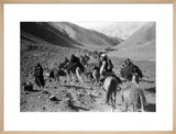 Kandari nomads migrating