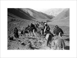 Kandari nomads migrating