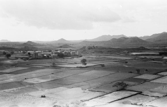Cultivated fields around Abis