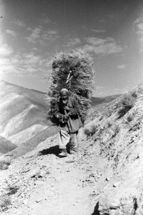 Hazara man carrying fodder
