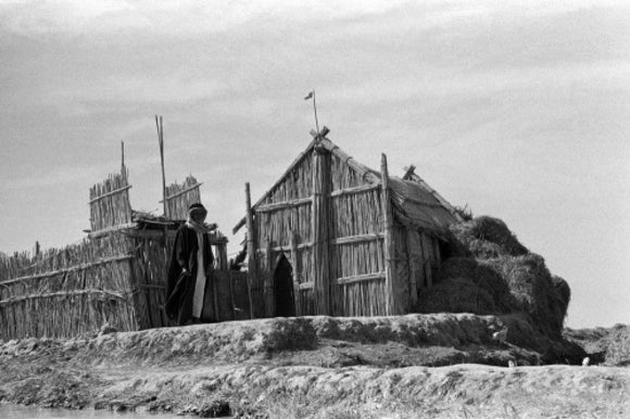 Sarifa at a settlement in the Marshes