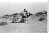 Arab men taking goods to market