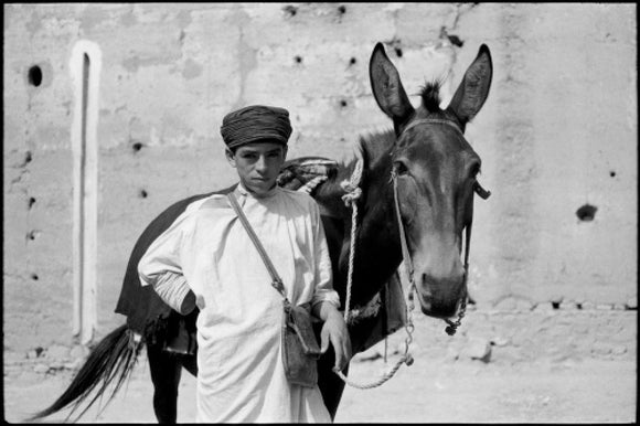 Boy with a mule