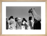 Tuareg men
