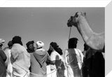 Tuareg men