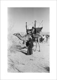 Saar nomad with a camel-litter