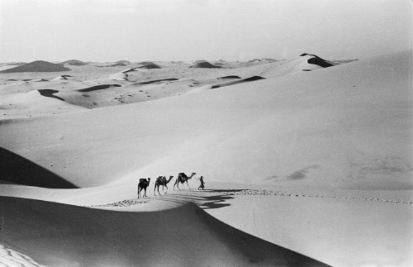 Thesiger's party in the Empty Quarter