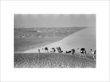 Thesiger's party in the Empty Quarter