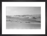 Thesiger's party in the Empty Quarter