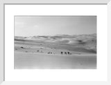 Thesiger's party in the Empty Quarter