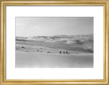 Thesiger's party in the Empty Quarter