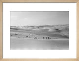 Thesiger's party in the Empty Quarter