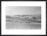 Thesiger's party in the Empty Quarter