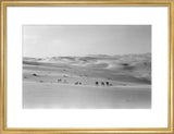 Thesiger's party in the Empty Quarter