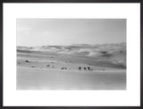 Thesiger's party in the Empty Quarter