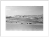 Thesiger's party in the Empty Quarter